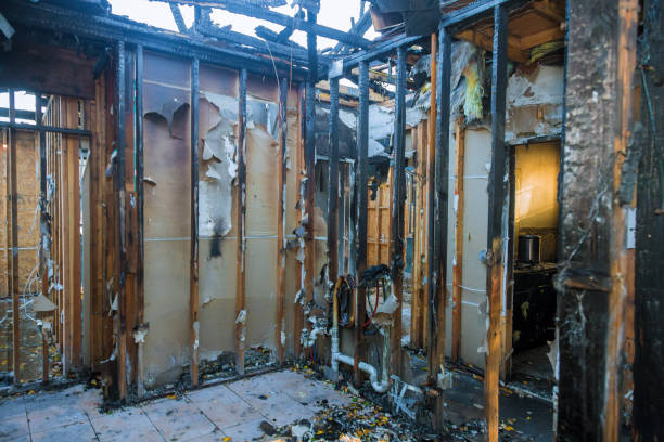Professional Fire Damage Removal technician working in Georgetown, TX